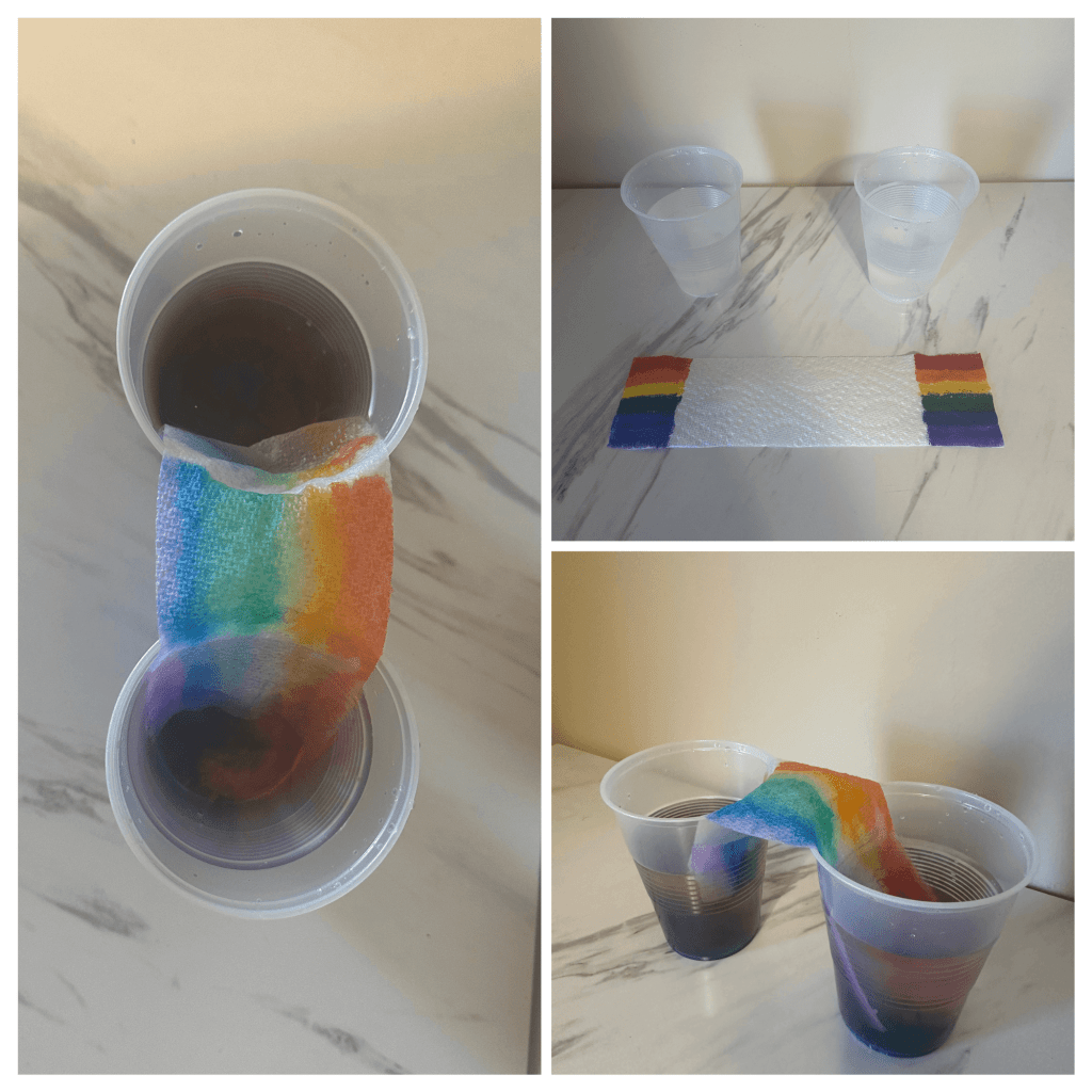Rainbow Bridge Paper Towel Experiment