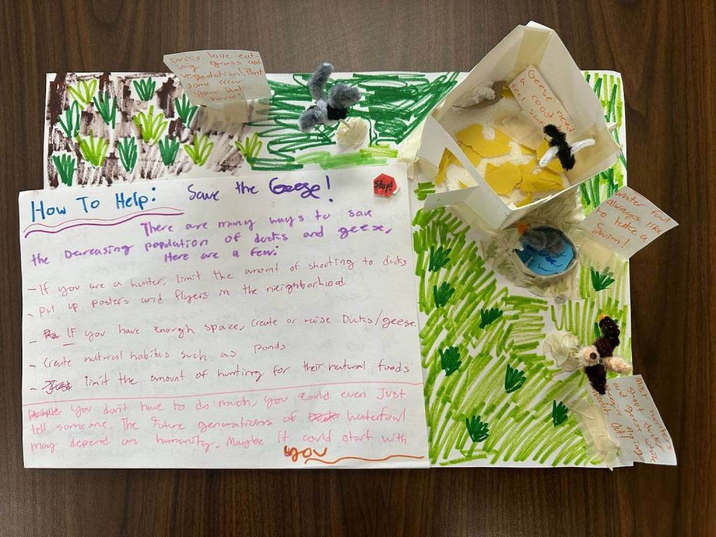 Student Passion Project - Save the Geese