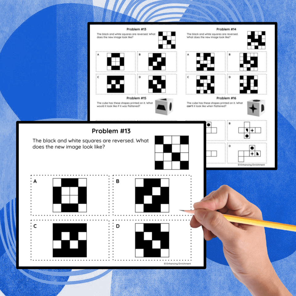 Spatial Reasoning Puzzles